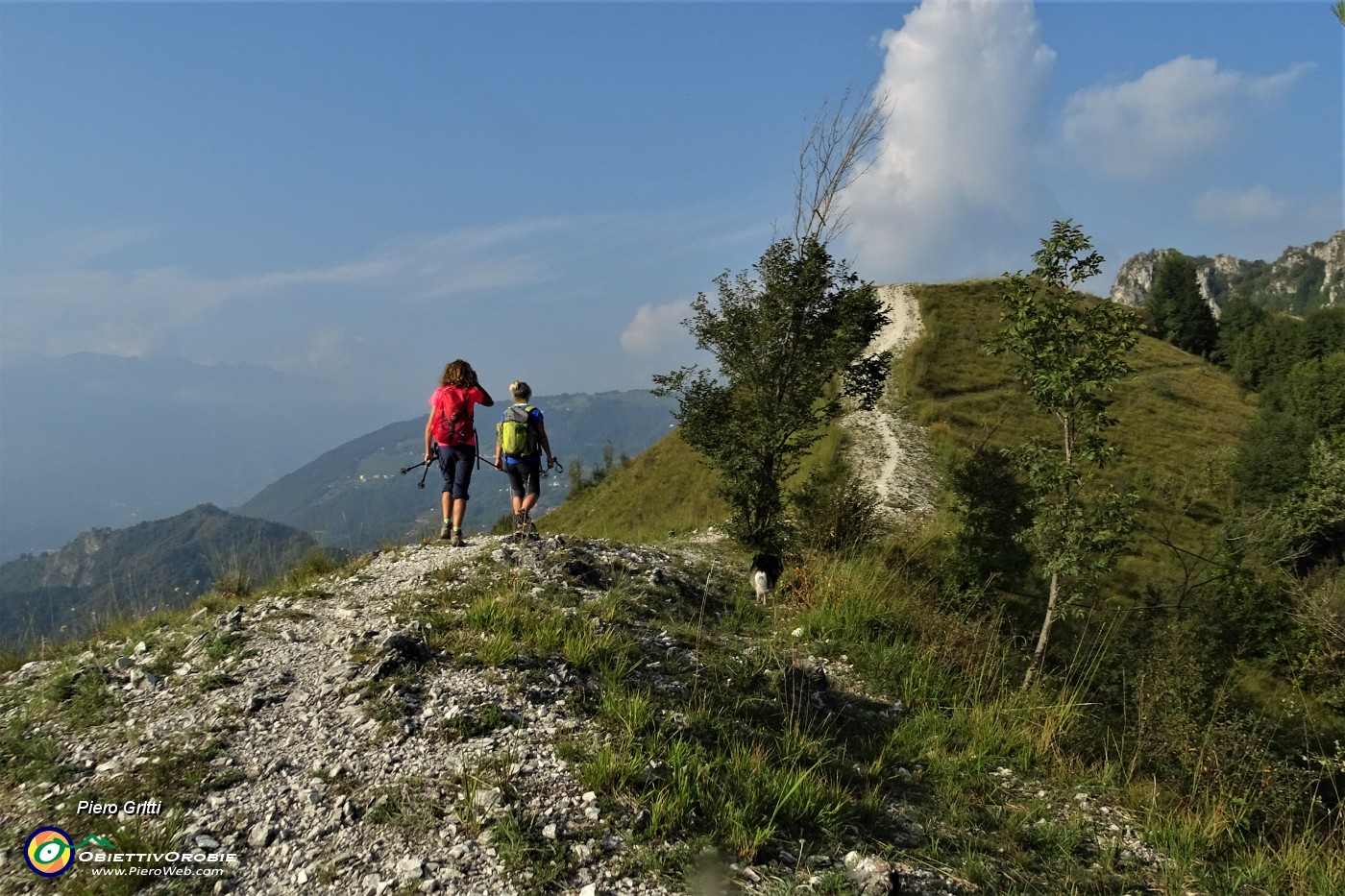 51 Il sent. 594 corre sulla 'linea taglia-fuoco' tra Bracca di Val Serina e S. Pellegrino di Val Brembana.JPG